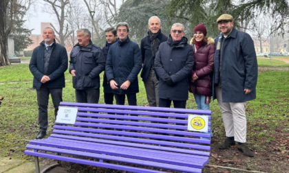 Inaugurata la "panchina viola" all'Allea per la Giornata Internazionale contro l'epilessia