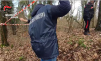 Uccide la madre e la seppellisce in un bosco di Trecate: arrestato Stefano Garini VIDEO
