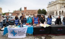 Enpa Novara: "Abbiamo le casse vuote, aiutateci"