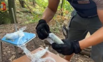 Torturato e ucciso per la droga nei boschi dell'Ovest Ticino: chiuse le indagini