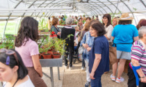 Anffas Novara ha inaugurato la sua "Bottega Verde"