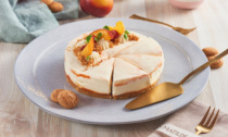 Cheesecake: un classico irresistibile reinventato da Matilde Vicenzi