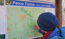 Servizio Civile al Parco Del Ticino: bando in apertura