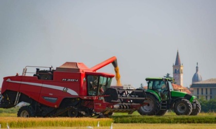 Fiera agricola e artigiana di Trecate: adesioni entro il 26 luglio