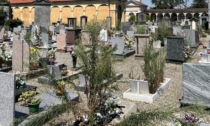 Novara: troppe tombe abbandonate e il cimitero diventa una "foresta"