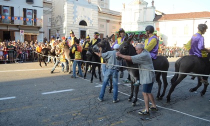 Palio di Cameri 2024 a rischio: "Ce la stiamo mettendo tutta"