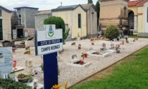 "Porta un fiore a chi non ce l'ha": l'iniziativa a Trecate