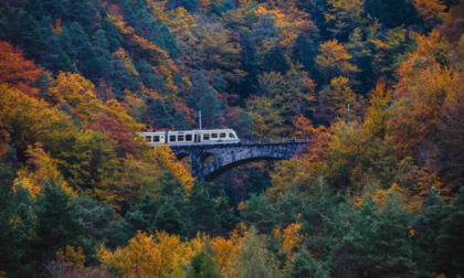 Sui binari d'autunno con il Treno del Foliage: 4 ore di viaggio, tra Italia e Svizzera