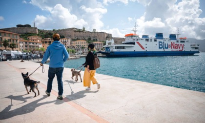 Biglietti del traghetto per l'Elba: come acquistarli online e risparmiare