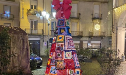 "Albero del Cuore" a Trecate: raccolti 50 pacchi per le famiglie assistite dalla Caritas