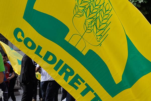 Coldiretti Novara-Vco: delegazione in arrivo a Bruxelles per la manifestazione