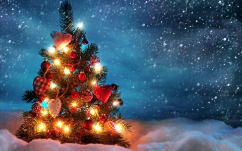 La Comunità di Sant’Egidio lancia un appello per un Natale solidale a Novara