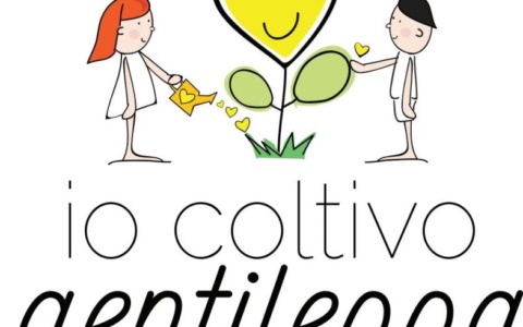 Borgomanero ospita il Premio “Città Gentile – Mitis Civitas 2026”