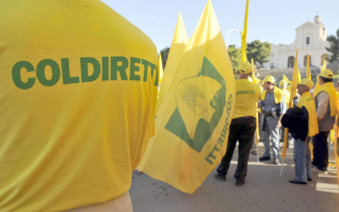 Coldiretti Novara-Vco: no alla firma del Mercosur senza reciprocità e controlli adeguati