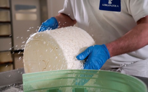 Gorgonzola Dop: nel 2025 superate 5,4 milioni di forme con un incremento del 2,72%