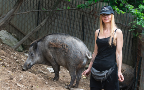 Il Rifugio Miletta vince la battaglia legale per Naso e Rosino