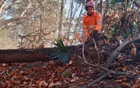 Interventi di manutenzione della Squadra AIB e PC Nebbiuno Odv