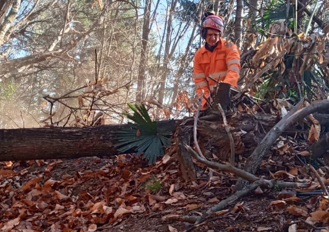 Interventi di manutenzione della Squadra AIB e PC Nebbiuno Odv