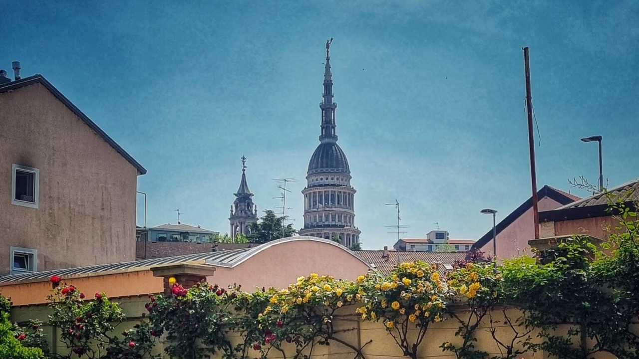 Attività a Novara e Provincia: eventi dal 28 febbraio al 1 marzo