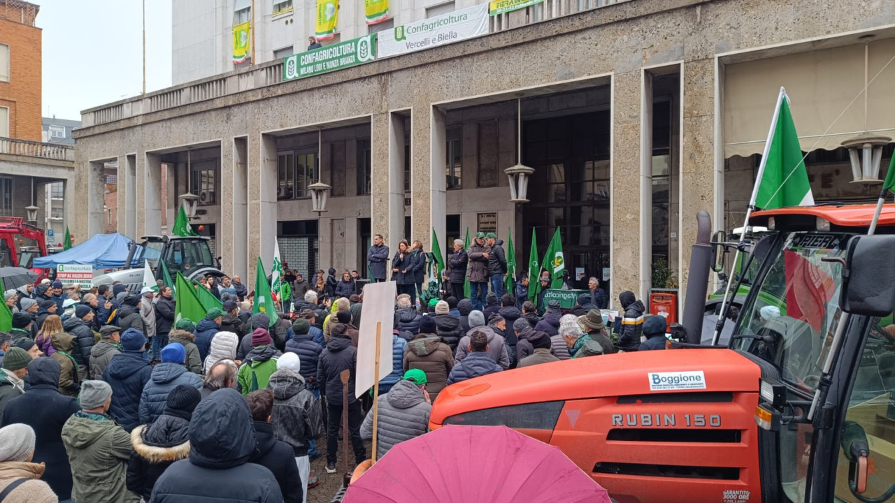 Confagricoltura: la filiera del riso italiano in difficoltà per prezzi e importazioni