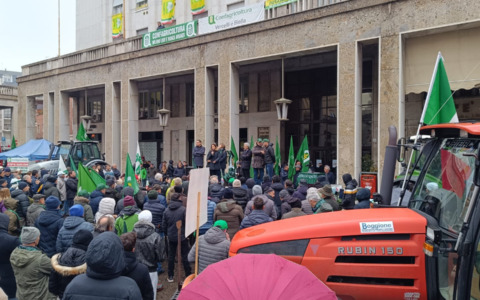 Confagricoltura: la filiera del riso italiano in difficoltà per prezzi e importazioni