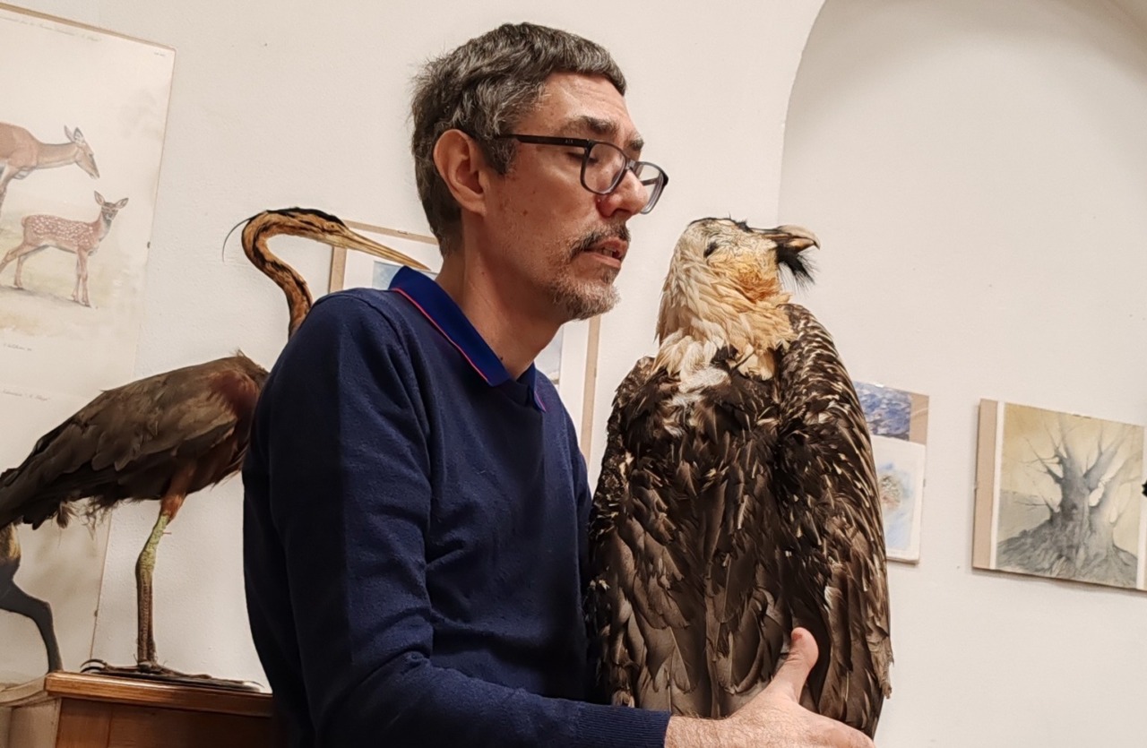 La Collezione Marietti arricchisce il Museo Faraggiana Ferrandi