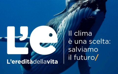 La mostra “L’eredità della vita” affronta i cambiamenti climatici a Novara