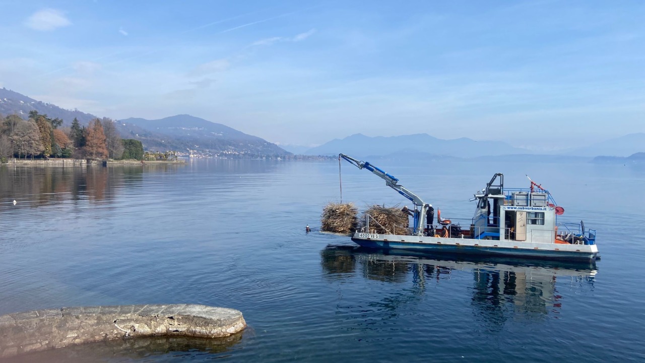 Meina promuove il progetto Incubatoio Naturale