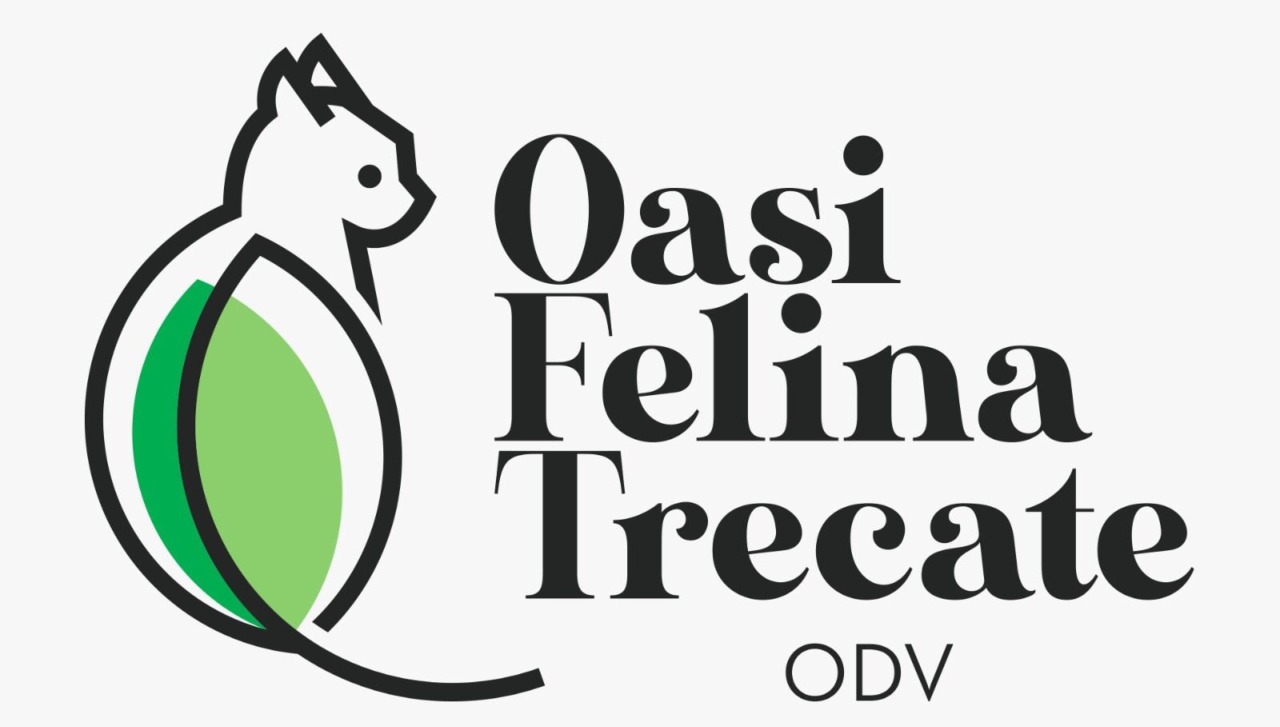 Oasi Felina di Trecate cerca nuovi volontari per la gestione della struttura