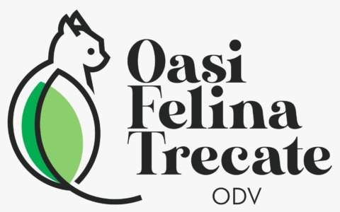 Oasi Felina di Trecate cerca nuovi volontari per la gestione della struttura