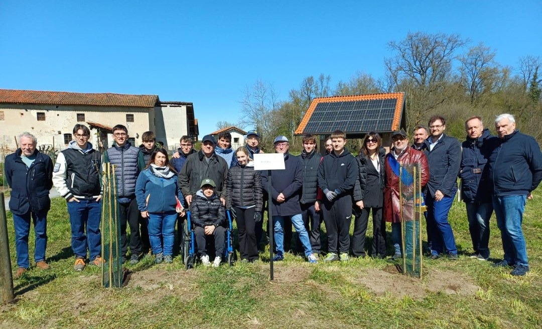 A Bellinzago Novarese, piantati 25 ciliegi selvatici al Mulino Vecchio