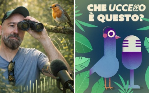 Debutta “Che uccello è questo?”, il podcast novarese dedicato al birdwatching