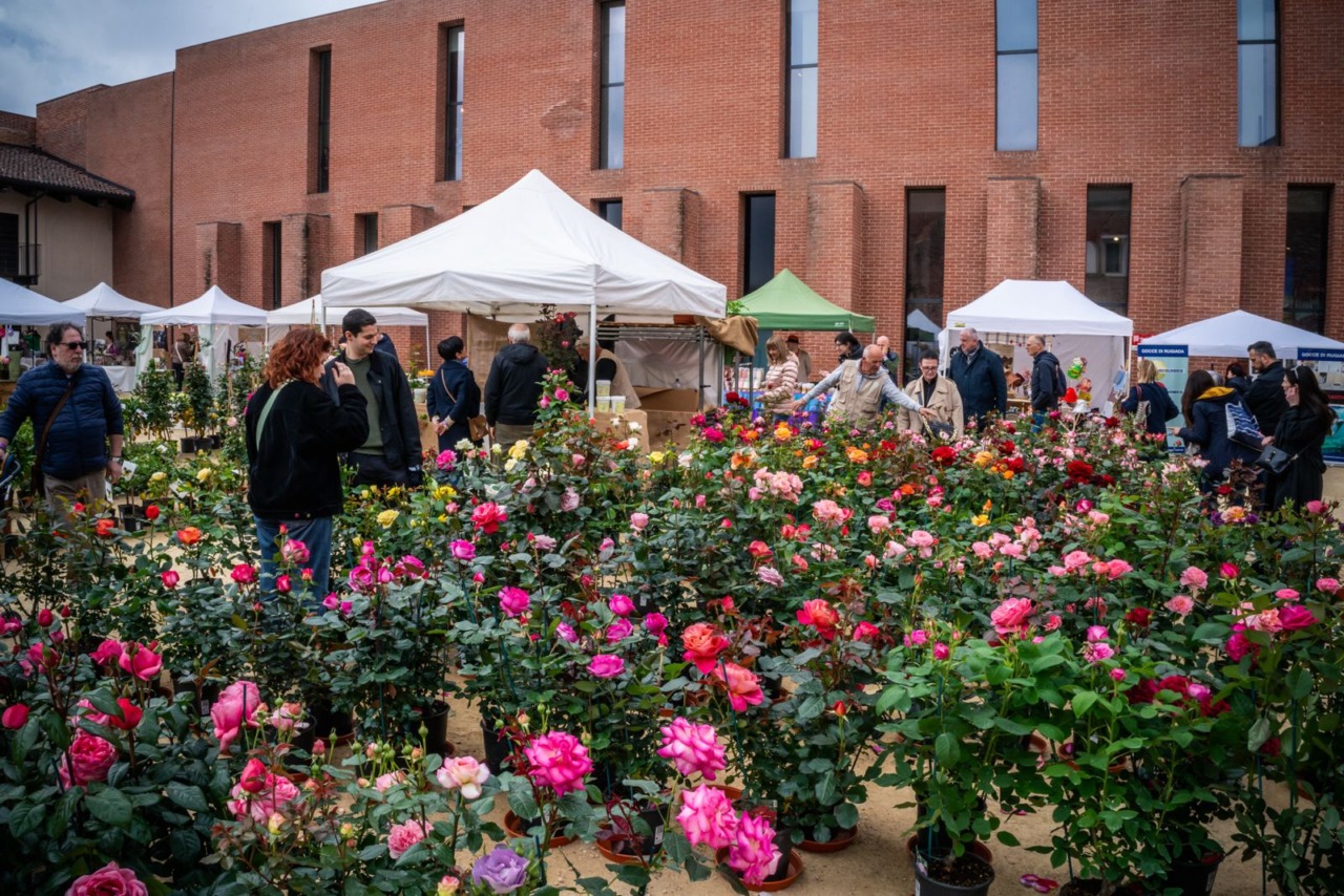Fiorissimo al Castello: Novara si trasforma in un giardino fiorito