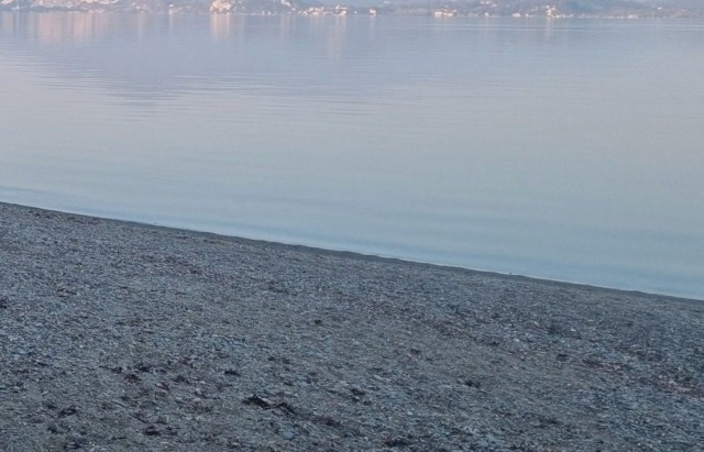 Il Comune di Lesa approva il progetto per la rinaturalizzazione della spiaggia di Madonna di Campagna