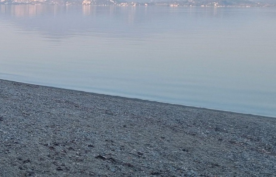 Il Comune di Lesa approva il progetto per la rinaturalizzazione della spiaggia di Madonna di Campagna