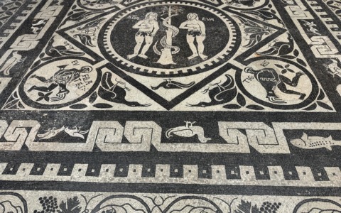 La Delegazione FAI di Novara apre la Cattedrale di Santa Maria Assunta