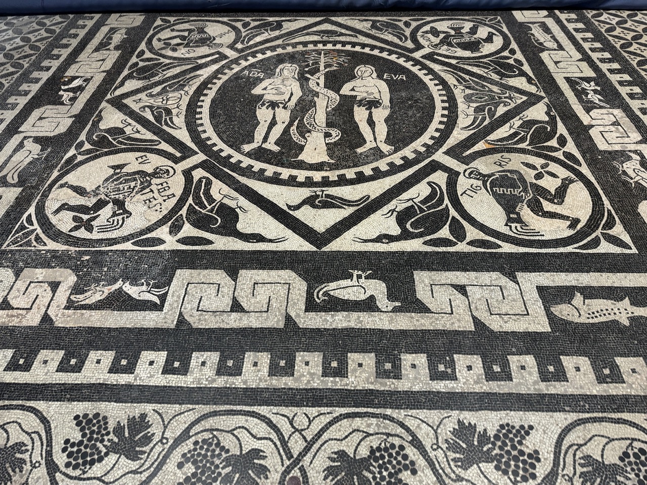 La Delegazione FAI di Novara apre la Cattedrale di Santa Maria Assunta