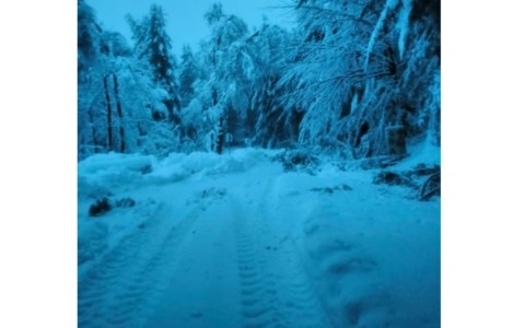 Mottarone chiuso per neve, VCO bloccato da alberi caduti e guasti elettrici