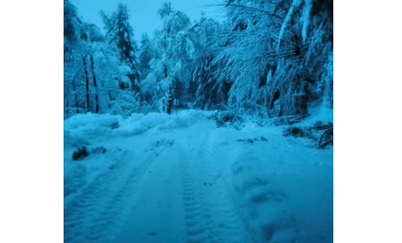 Mottarone chiuso per neve, VCO bloccato da alberi caduti e guasti elettrici