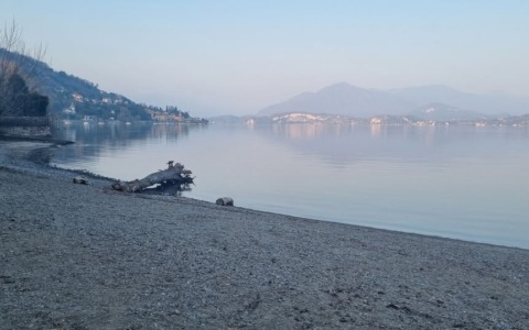 Sbloccato il progetto per la rinaturalizzazione della spiaggia di Madonna di Campagna a Lesa