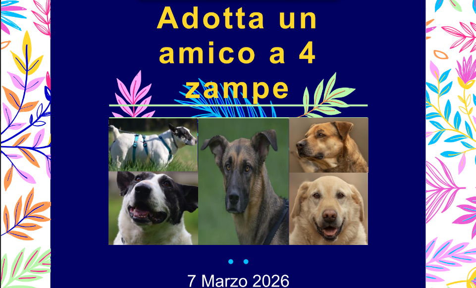 Sporting Club Monterosa: equitazione e solidarietà per gli amici a quattro zampe