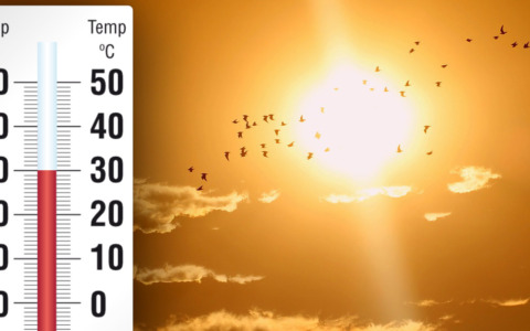Arrivano i Bollettini di previsione sulle ondate di calore di Arpa Piemonte