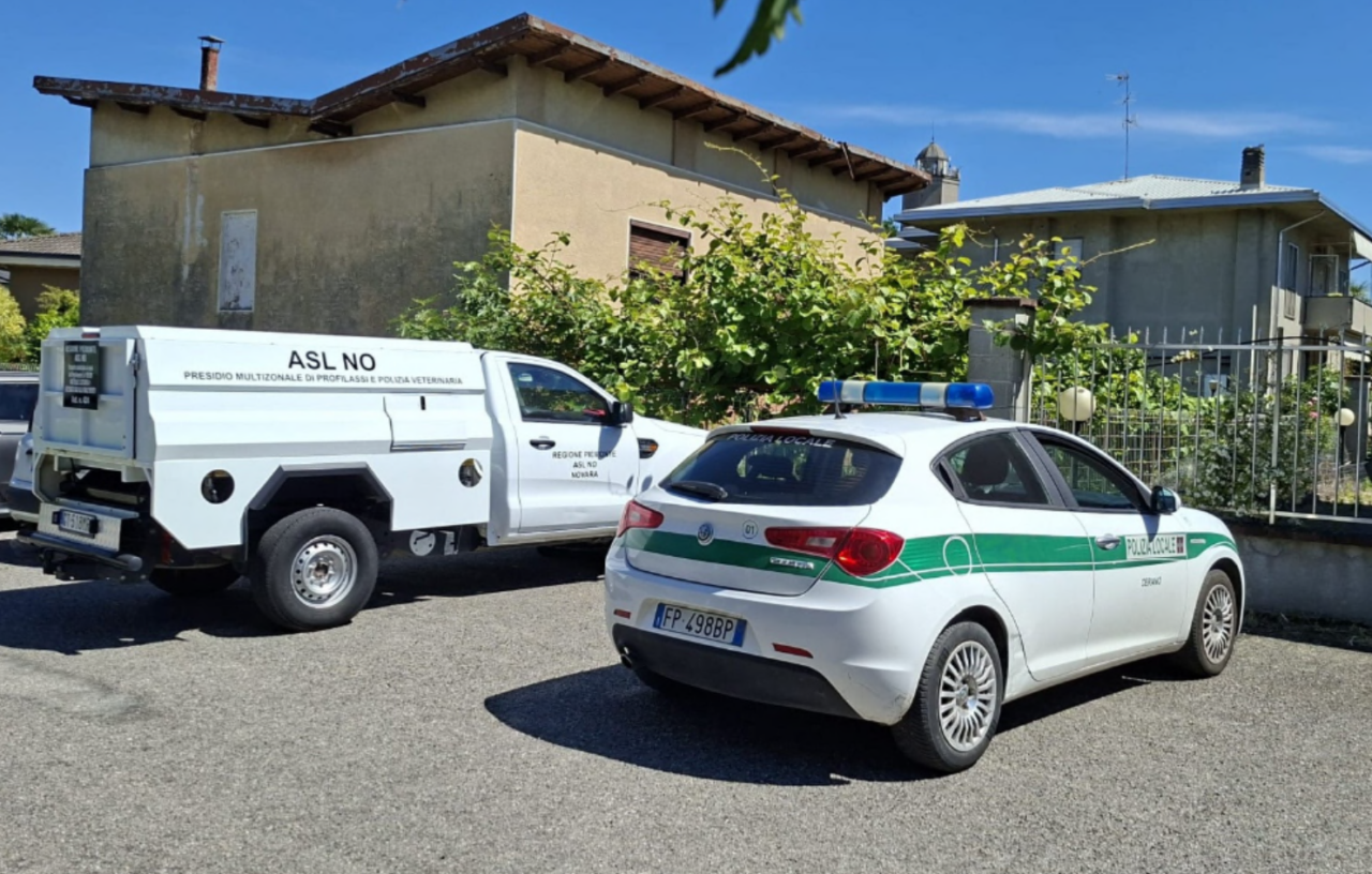 Scoperta di macello abusivo in un garage a Cerano: intervento della Polizia Locale