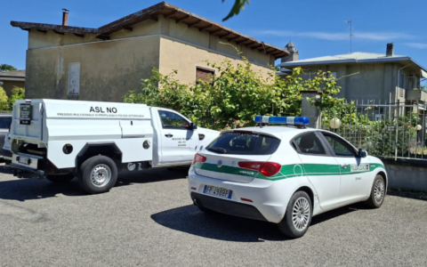 Scoperta di macello abusivo in un garage a Cerano: intervento della Polizia Locale