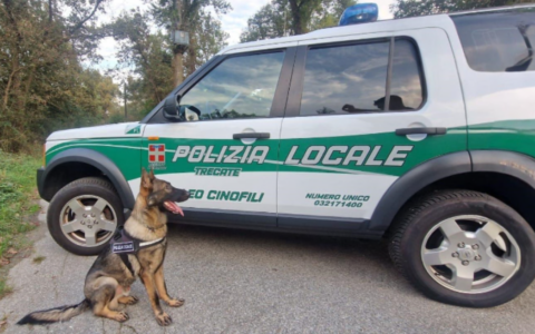 A Trecate intensificati i controlli antidroga e contro l’abusivismo