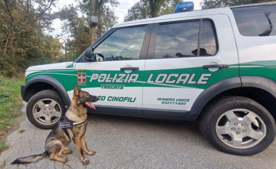 A Trecate intensificati i controlli antidroga e contro l’abusivismo