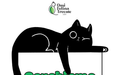 L’Oasi Felina di Trecate cerca nuovi volontari