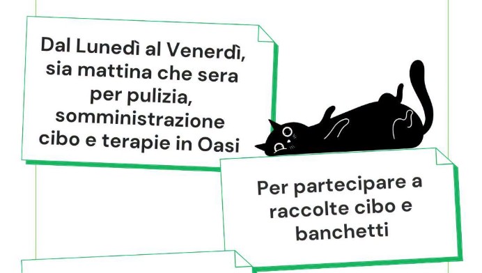 L’Oasi Felina di Trecate lancia un appello per nuovi volontari