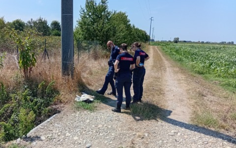 Cerano, scoperta una cicogna bianca morta vicino a un traliccio: si indaga sulle cause del decesso