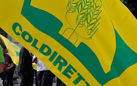 Coldiretti Novara-Vco: approvato il decreto che stabilizza il florovivaismo in Italia